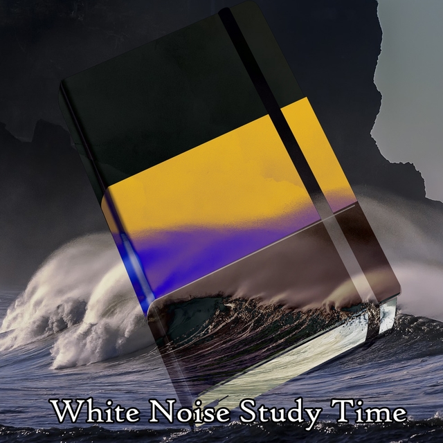 Couverture de White Noise Study Time