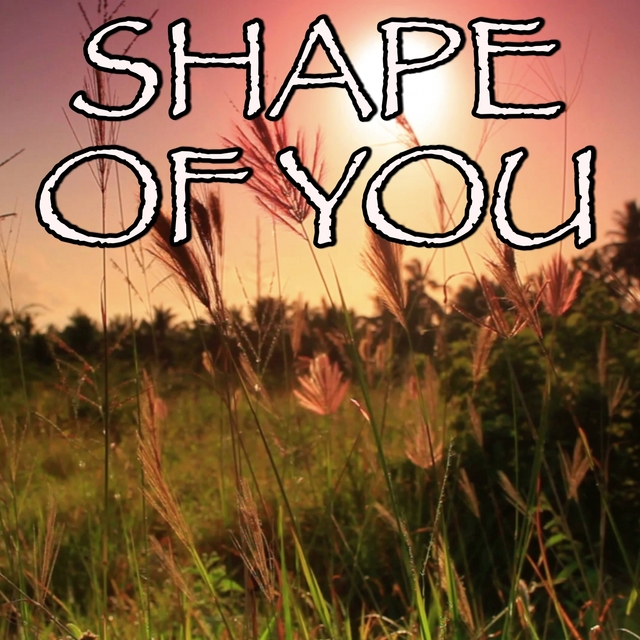 Shape Of You (Stormzy Remix) - Tribute to Ed Sheeran and Stormzy