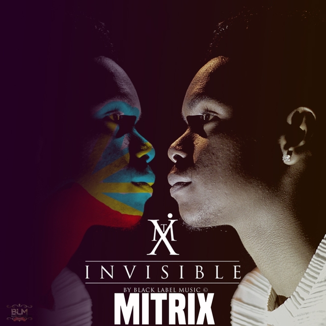 Couverture de Invisible