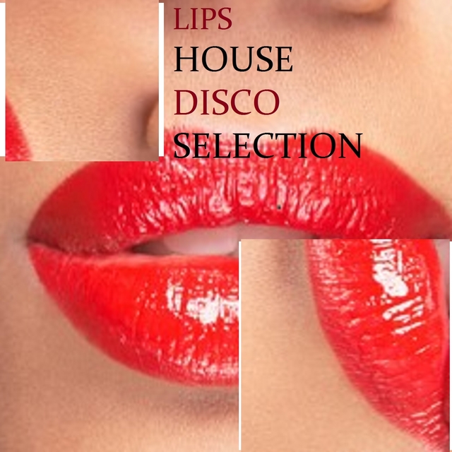 Lips House Disco Selection