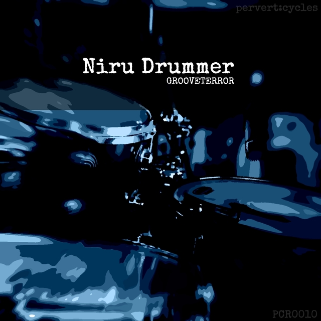 Couverture de Niru Drummer