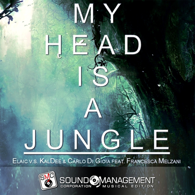 Couverture de My Head Is a Jungle