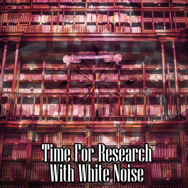 Couverture de Time For Research With White Noise