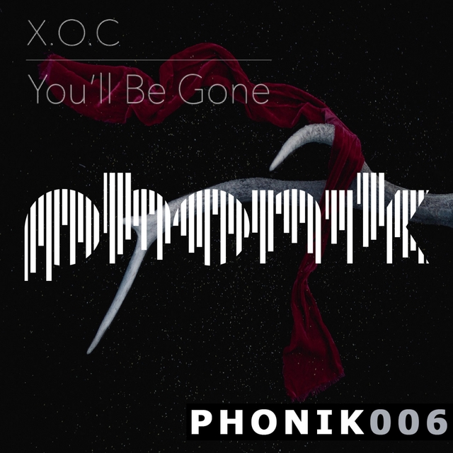 Couverture de You'll Be Gone