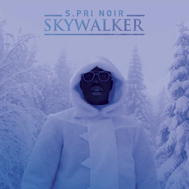 Couverture de Skywalker