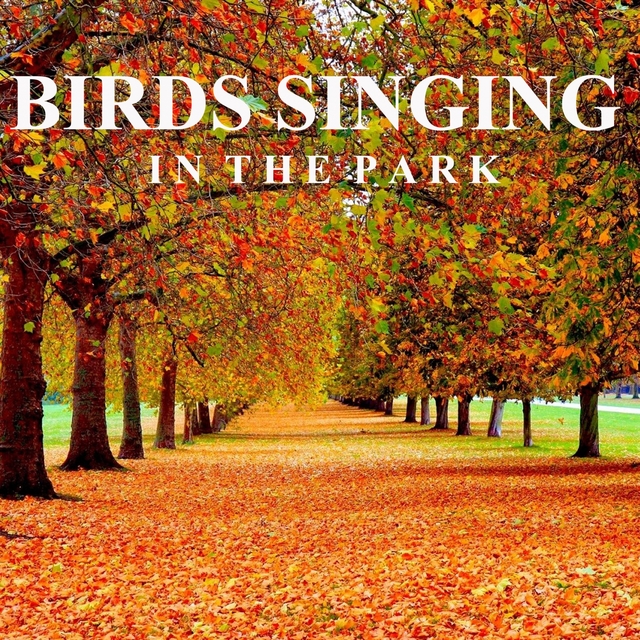 Couverture de Birds Singing in the Park