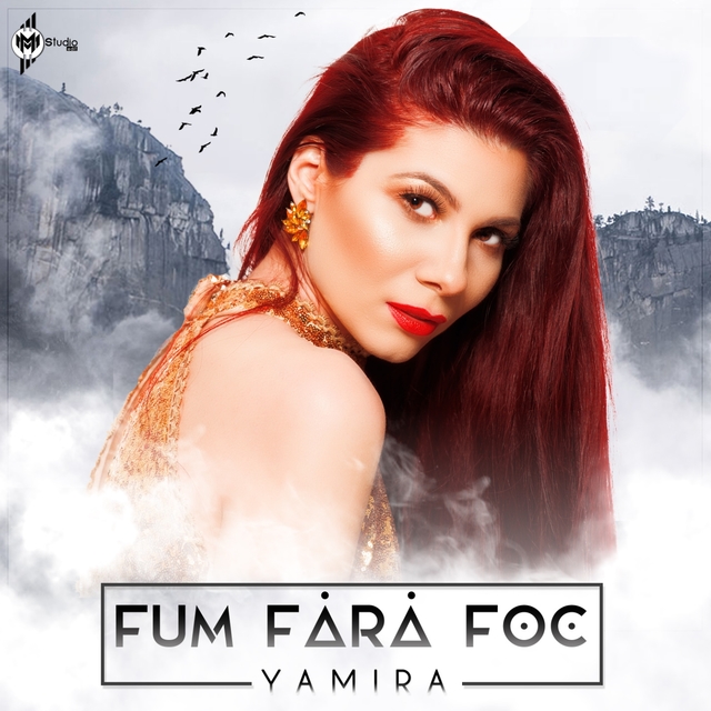 Couverture de Fum Fara Foc