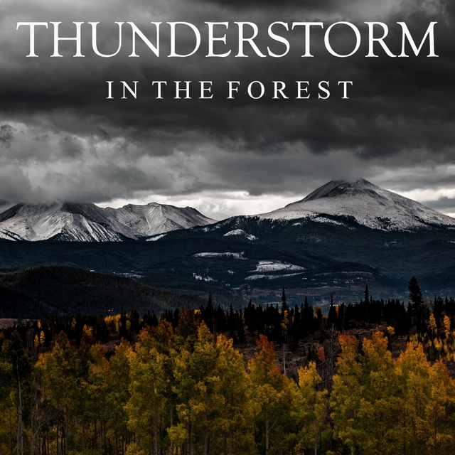 Couverture de Thunderstorm in the Forest