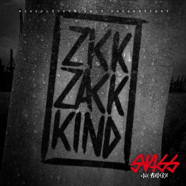 Couverture de Zickzackkind