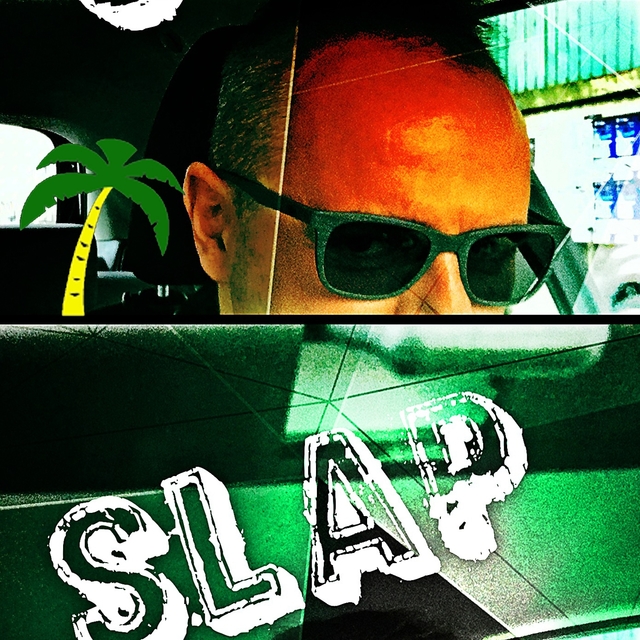 Couverture de Slap