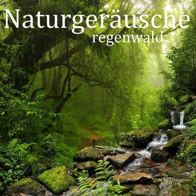 Couverture de Naturgeräusche: Regenwald