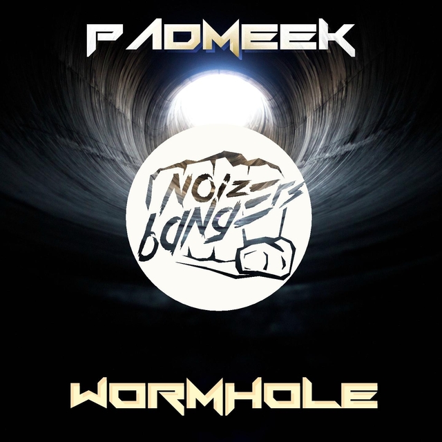 Wormhole