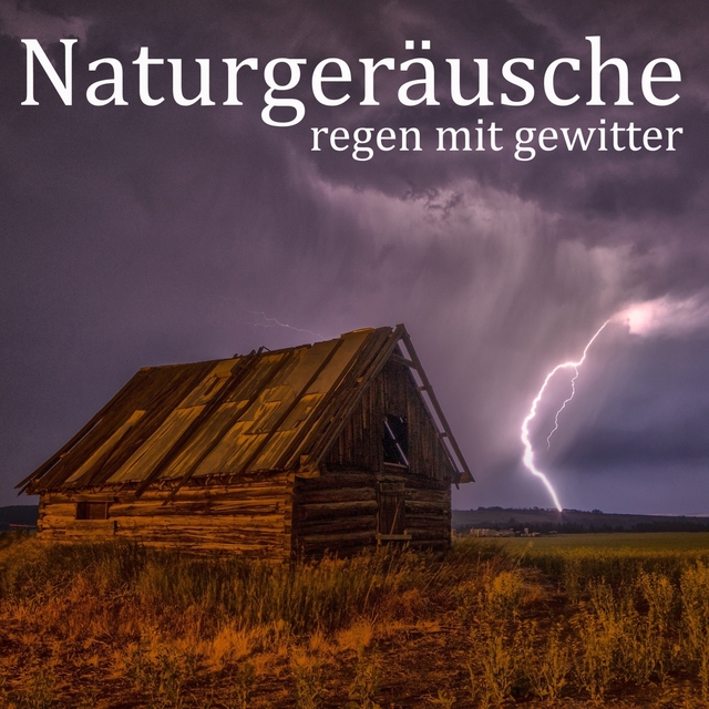 Couverture de Naturgeräusche: Regen mit Gewitter