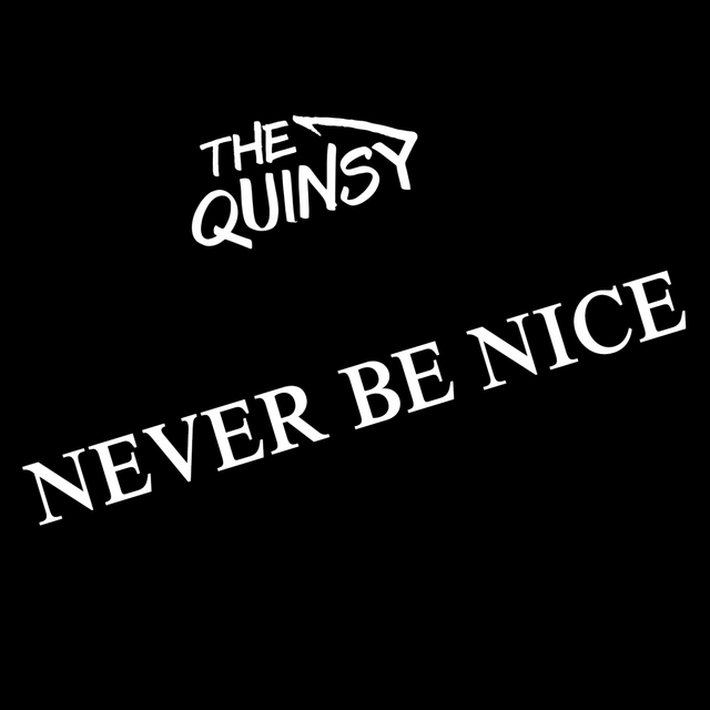 Couverture de Never Be Nice