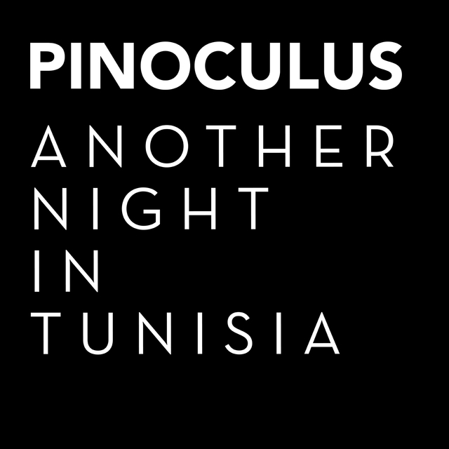 Couverture de Another Night in Tunisia