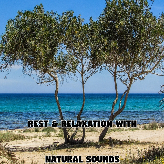 Couverture de Rest & Relaxation With Natural Sounds