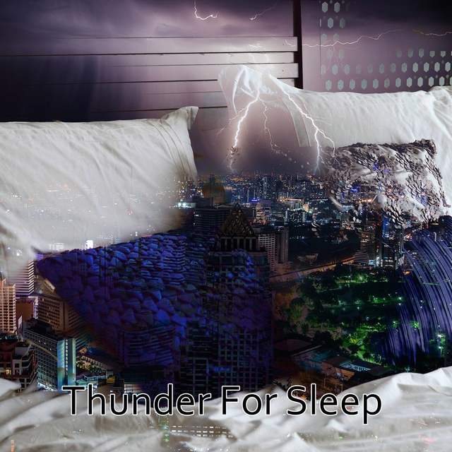 Couverture de Thunder For Sleep