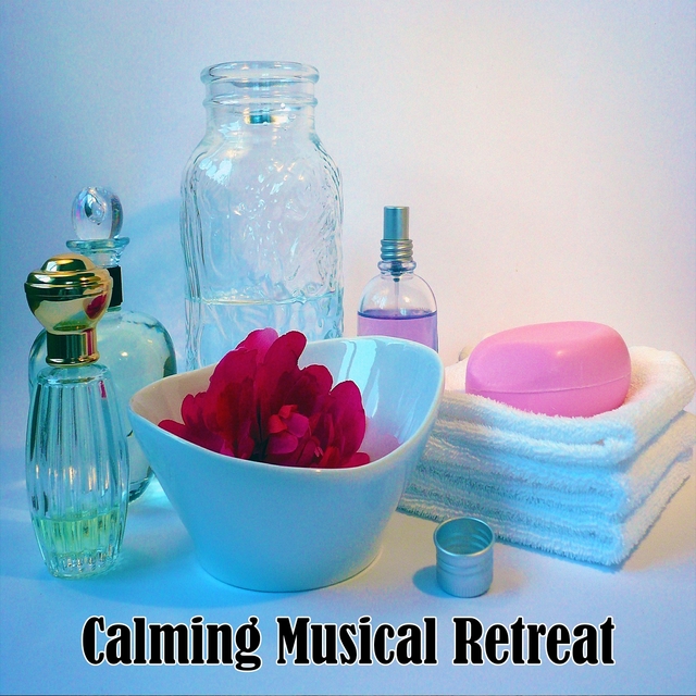 Couverture de Calming Musical Retreat