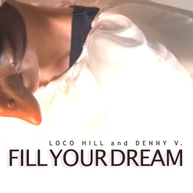 Couverture de Fill Your Dream