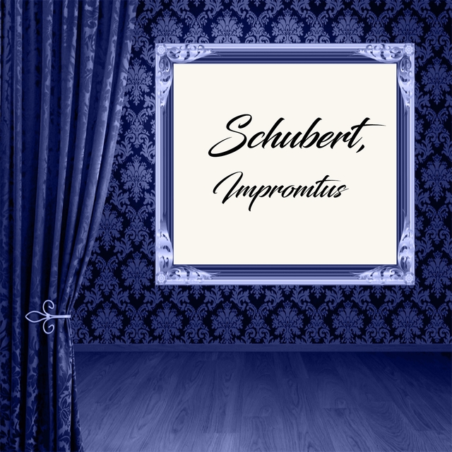 Couverture de Schubert: Impromtus