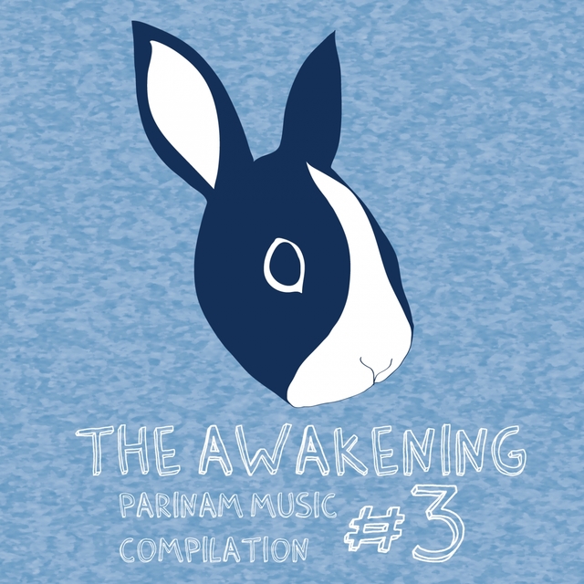 Couverture de The Awakening