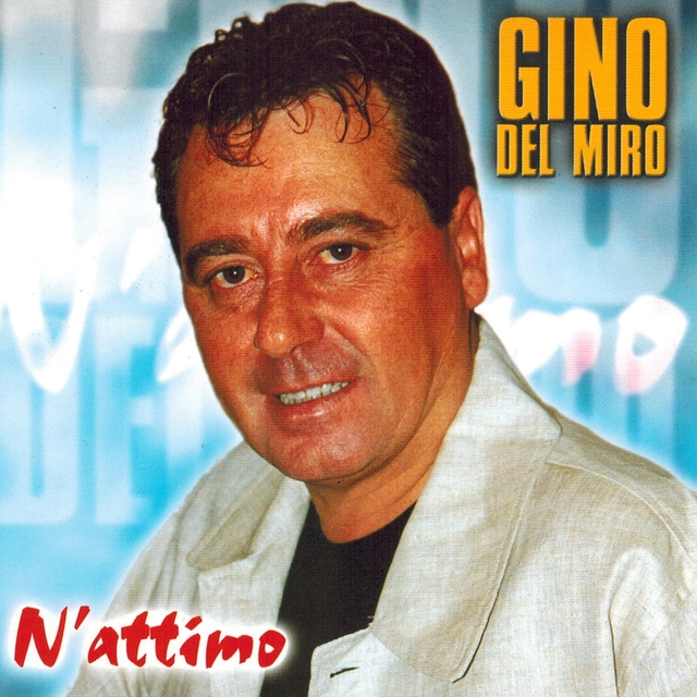 Couverture de N'attino