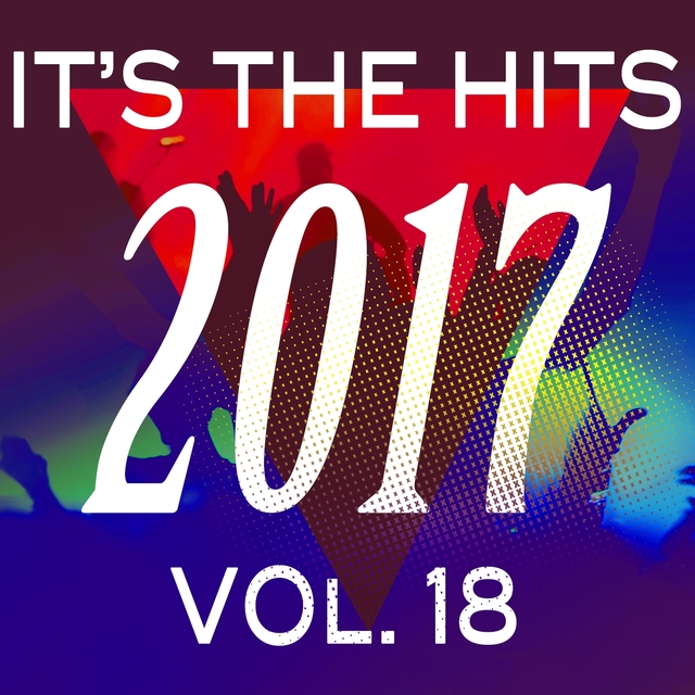 Couverture de It's the Hits! 2017, Vol..18