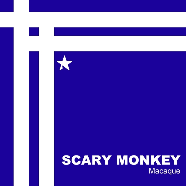 Macaque