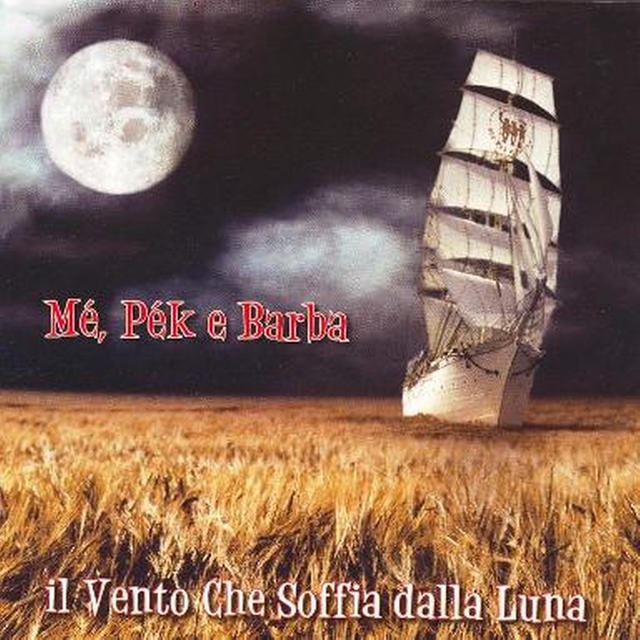 Couverture de Il vento che soffia dalla luna