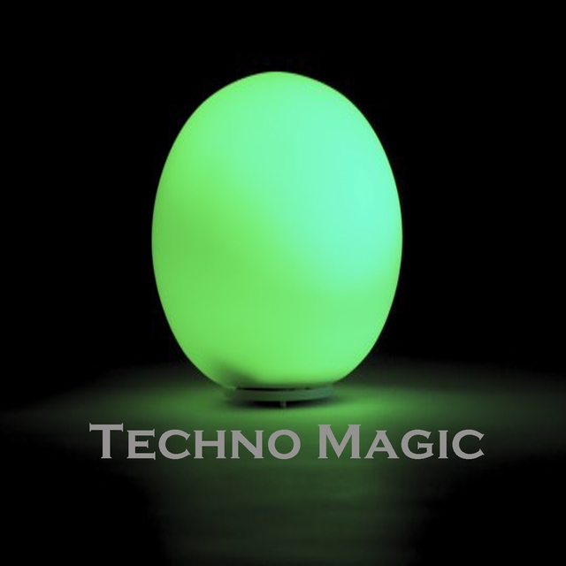 Couverture de Techno Magic