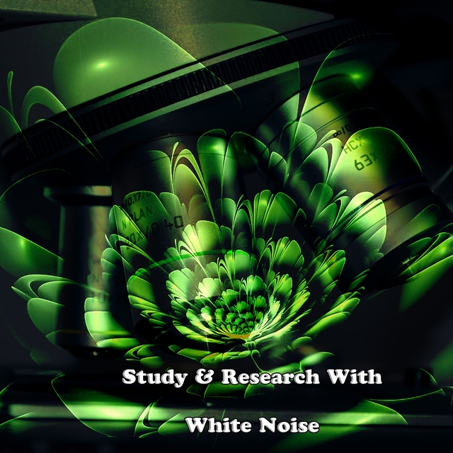 Couverture de Study & Research With White Noise