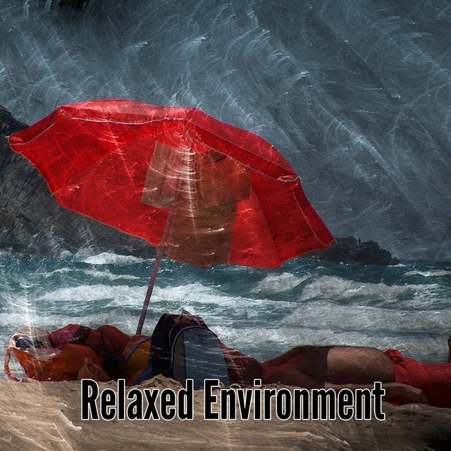 Couverture de Relaxed Environment