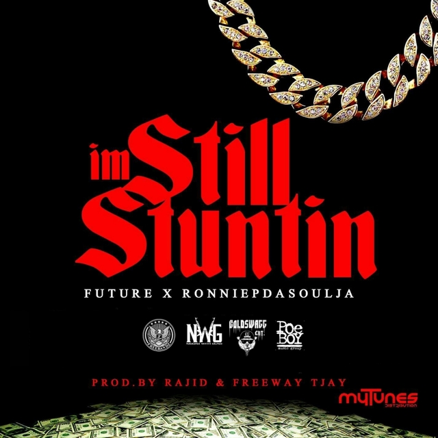 Couverture de I'm Still Stuntin