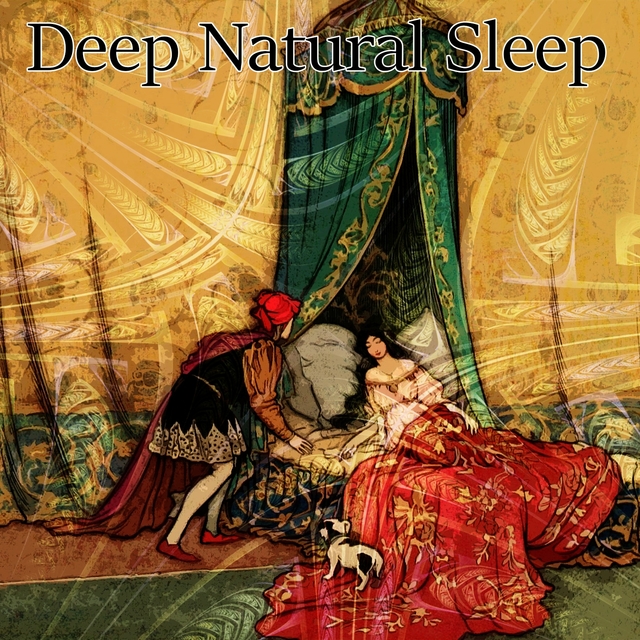 Couverture de Deep Natural Sleep