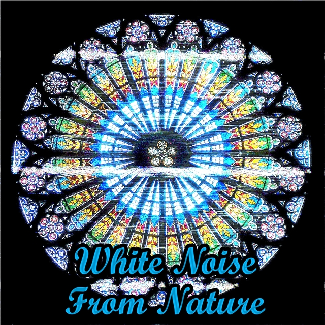 White Noise From Nature
