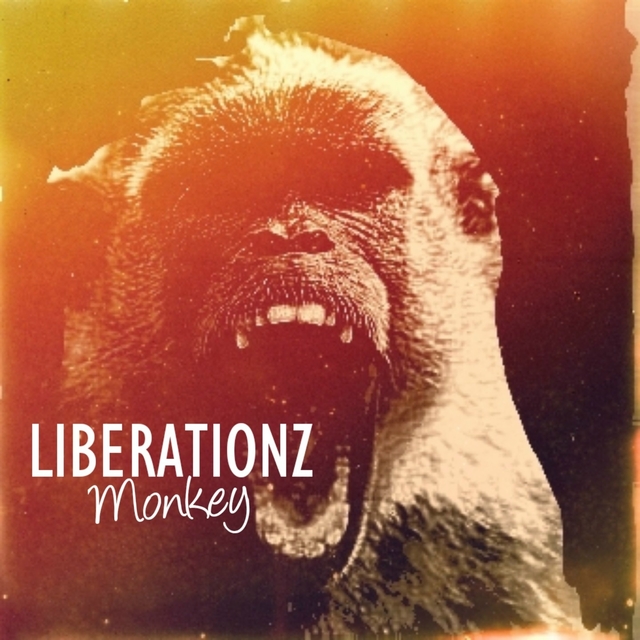 Couverture de Monkey