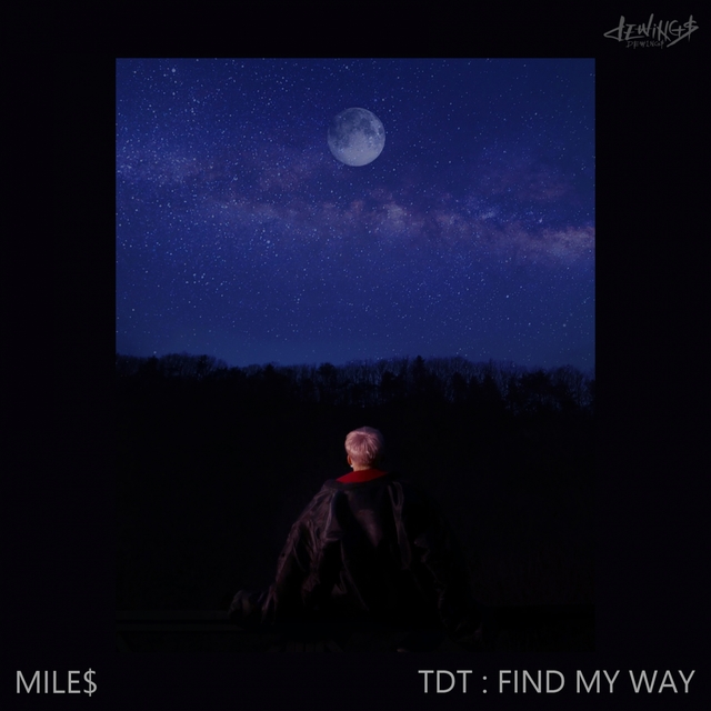 Couverture de TDT : Find My Way