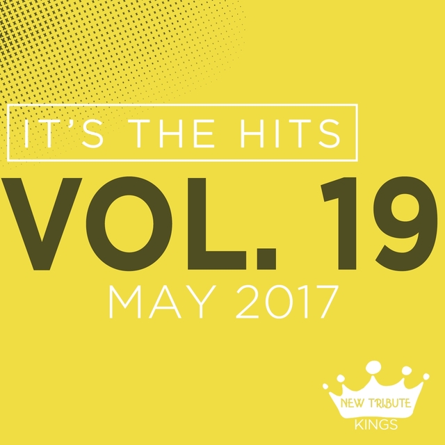 Couverture de It's the Hits! 2017, Vol.19