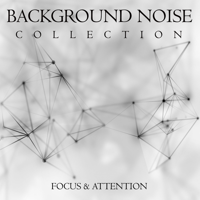 Couverture de Focus and Attention