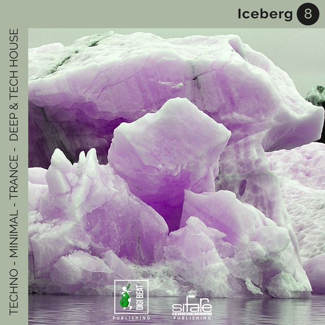 Couverture de Iceberg 8