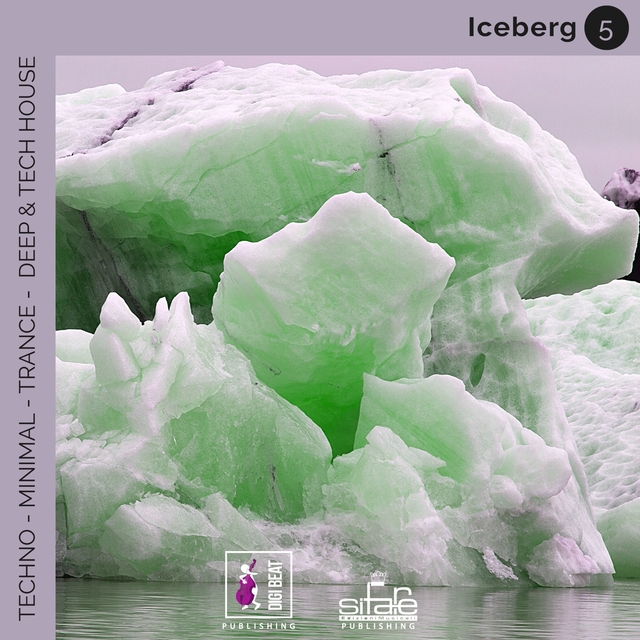 Couverture de Iceberg 5