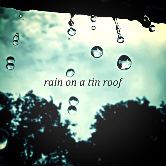 Couverture de Rain on a Tin Roof