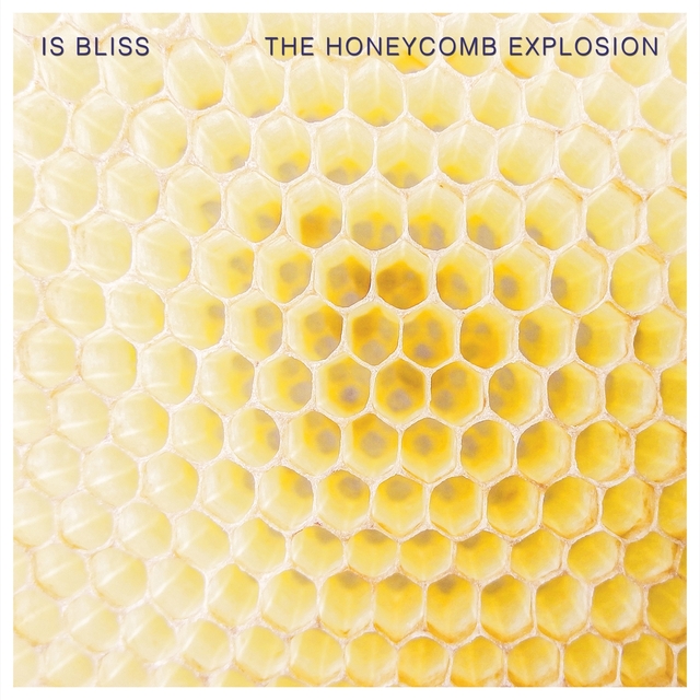 Couverture de The Honeycomb Explosion