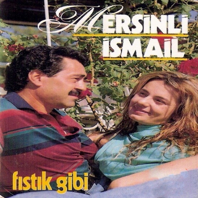 Couverture de Fıstık Gibi