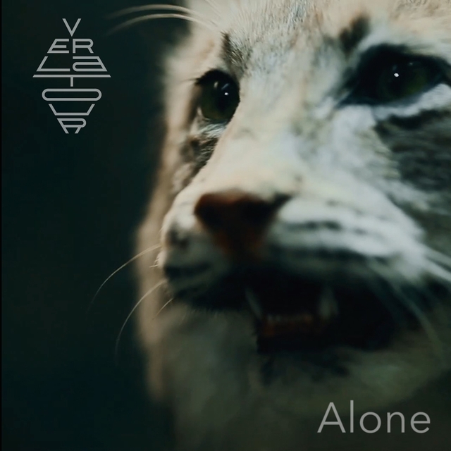 Couverture de Alone