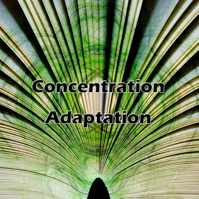 Couverture de Concentration Adaptation