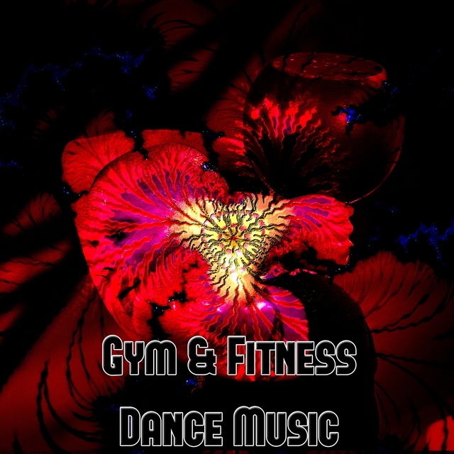 Couverture de Gym & Fitness Dance Music