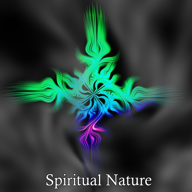 Couverture de Spiritual Nature