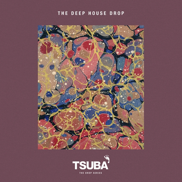 Couverture de The Deep House Drop