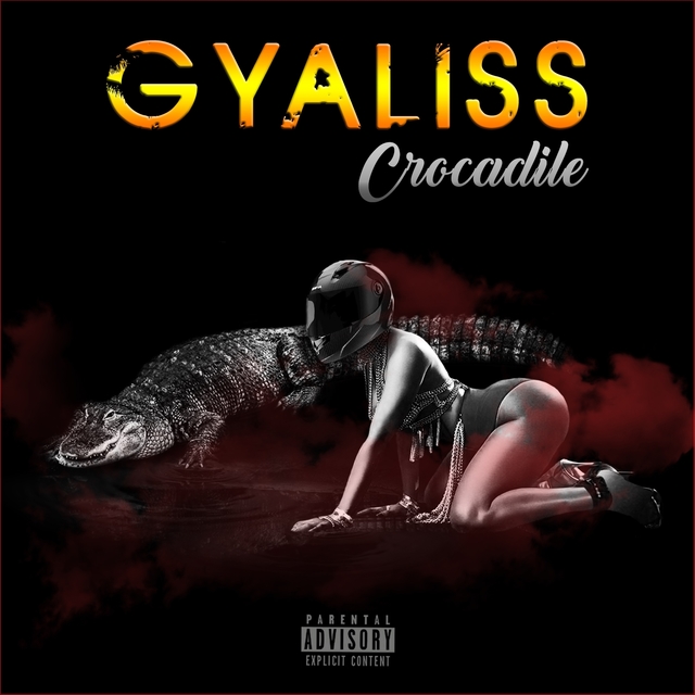 Couverture de Gyaliss